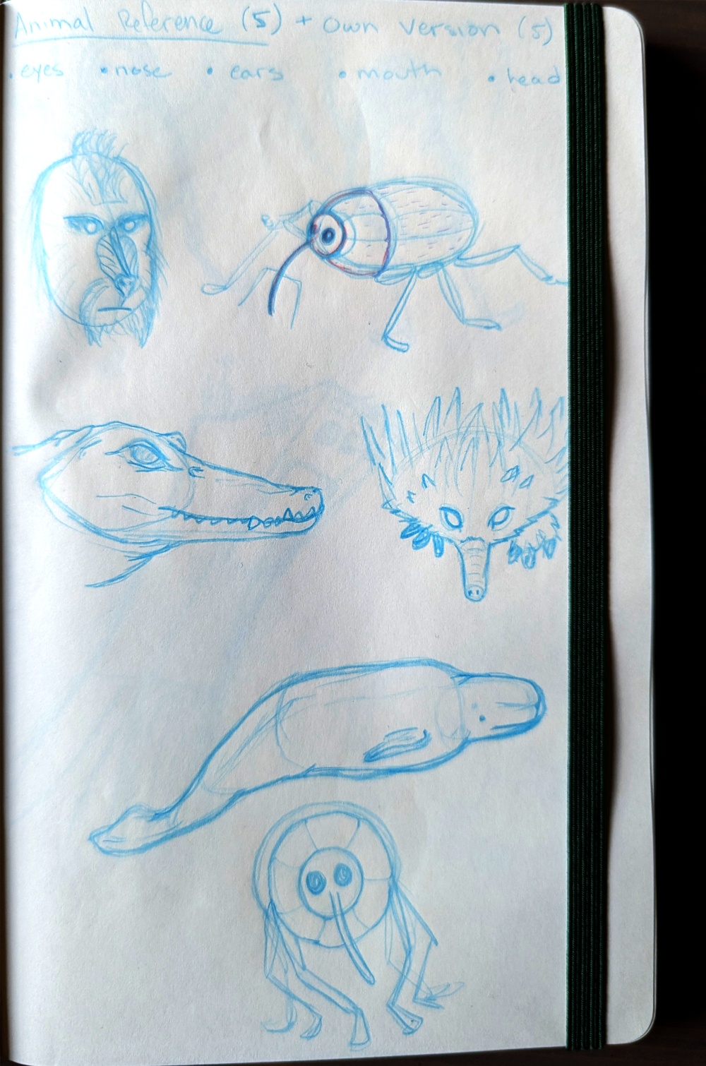 Some random creatures as warm ups.