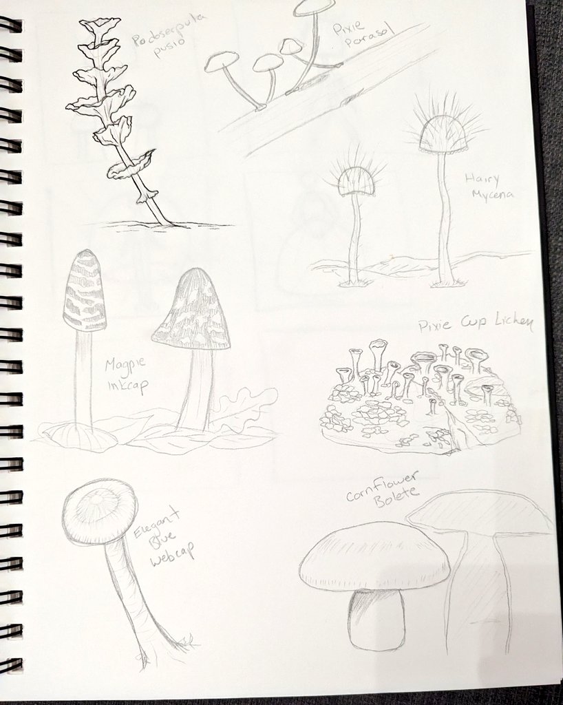 Photo of my sketchbook