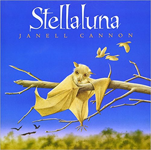 A brown bat clumsily hangs onto a tree branch. The title Stellaluna is above her in the night sky.