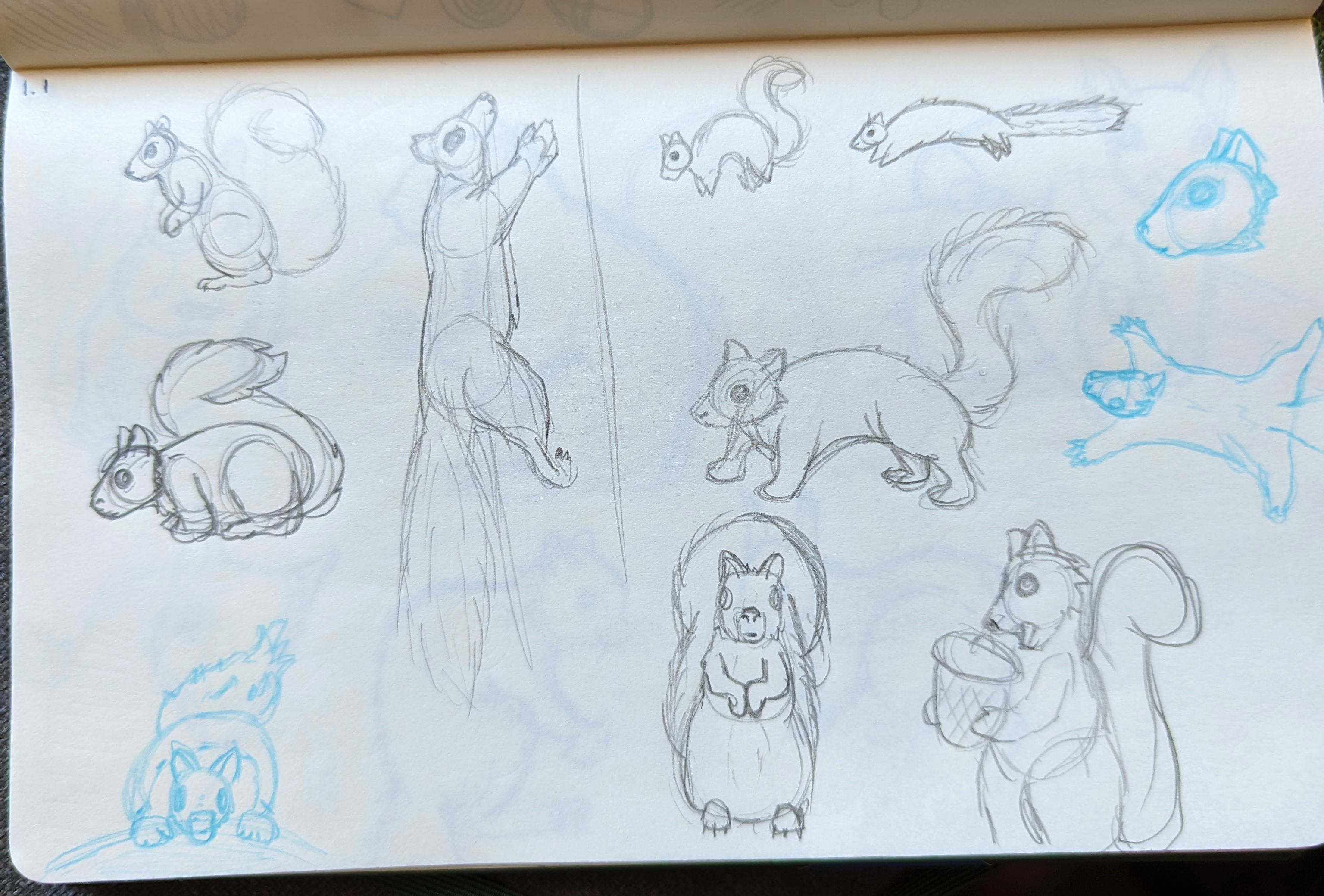 Photo of my sketch book filled with sketchy squirrels.