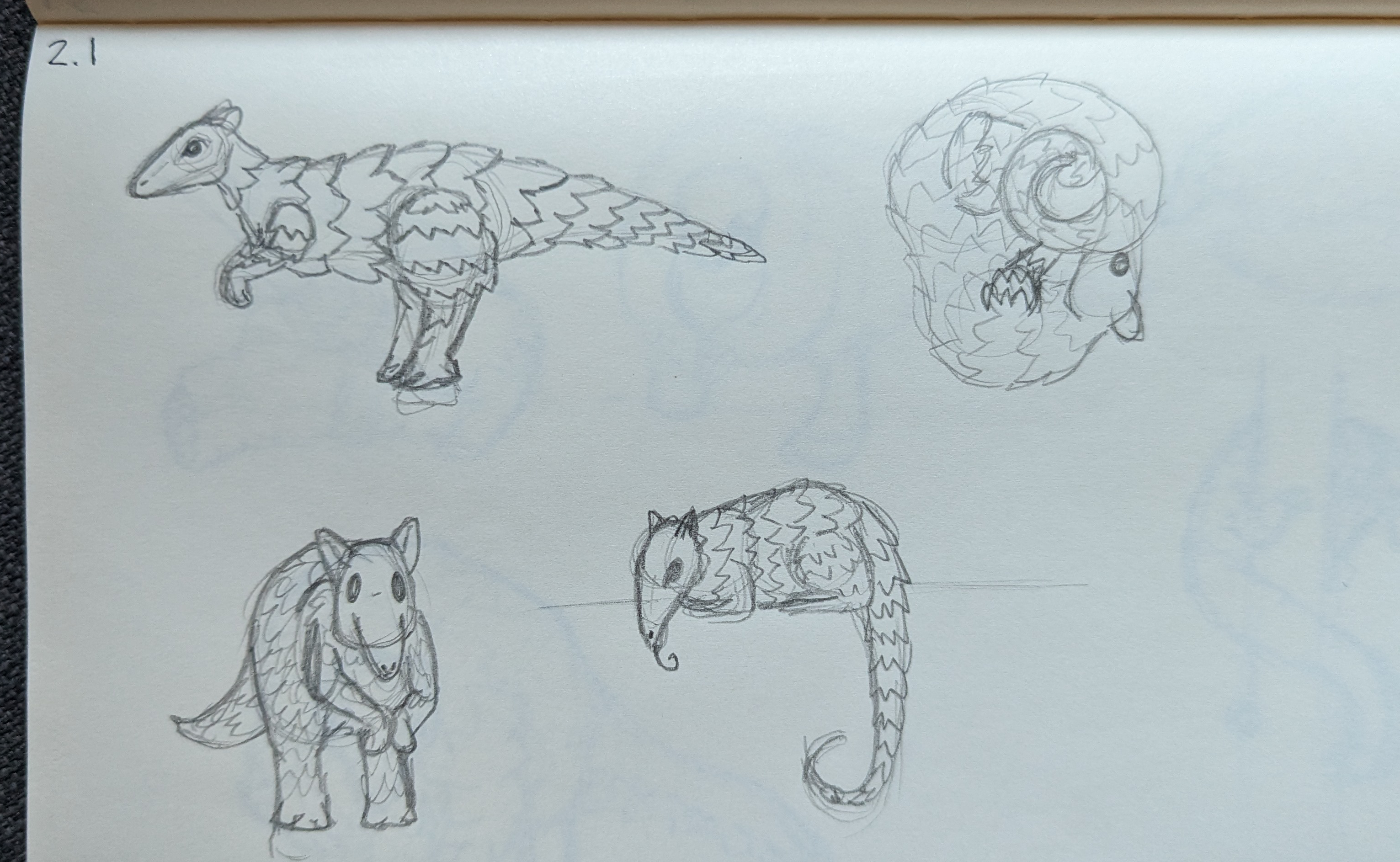 Messy pangolin sketches.