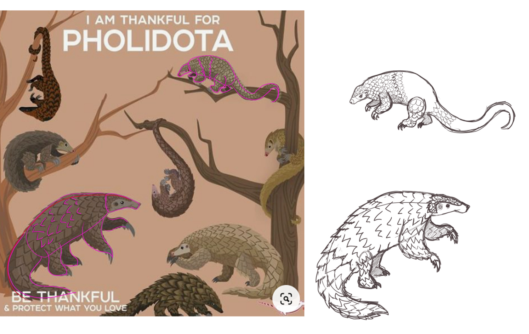 Detailed cartoon pangolins