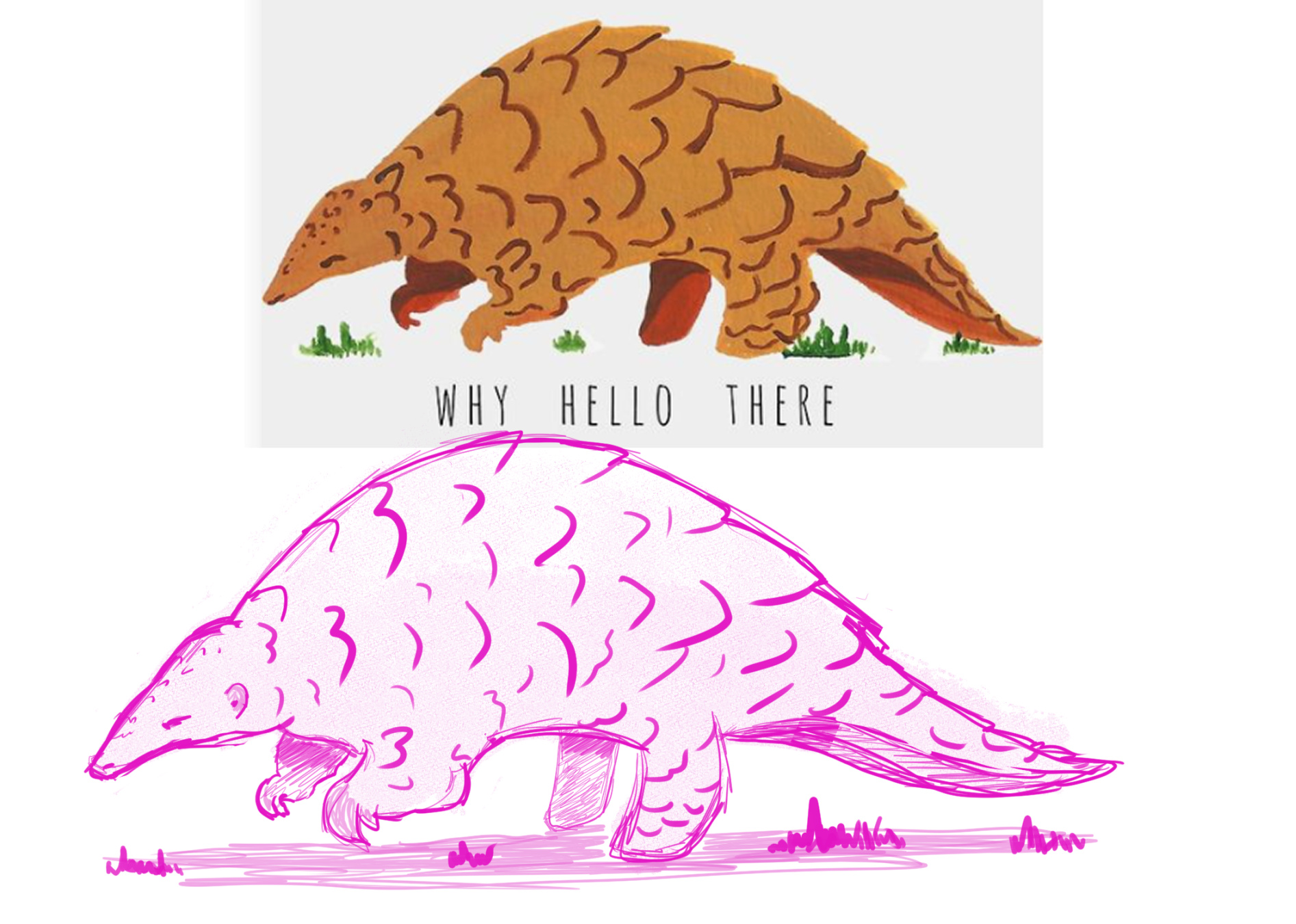 Pink pangolin