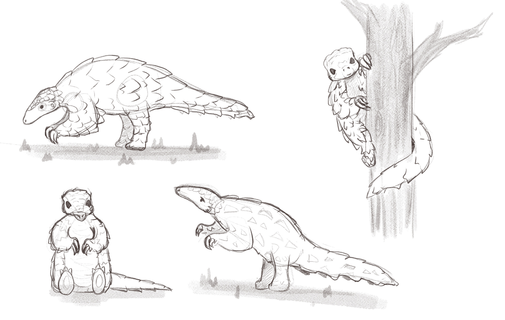 Four digital pangolin sketches.